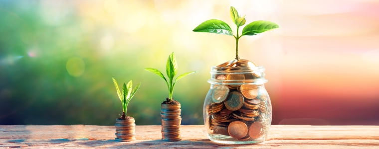 The Advantages of Fixed Deposits in Small Finance Banks